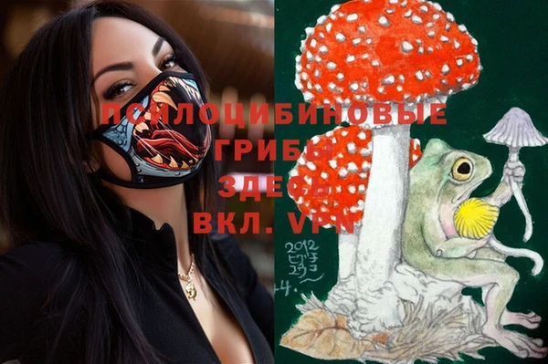 трава Пересвет