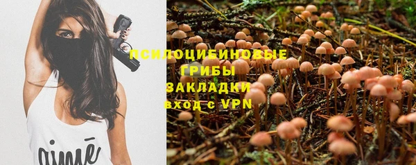 трава Пересвет