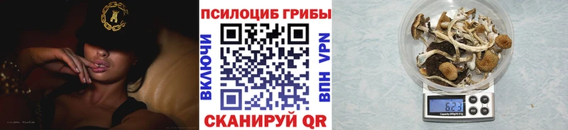 закладки  Карабаново  blacksprut как войти  Галлюциногенные грибы мухоморы 